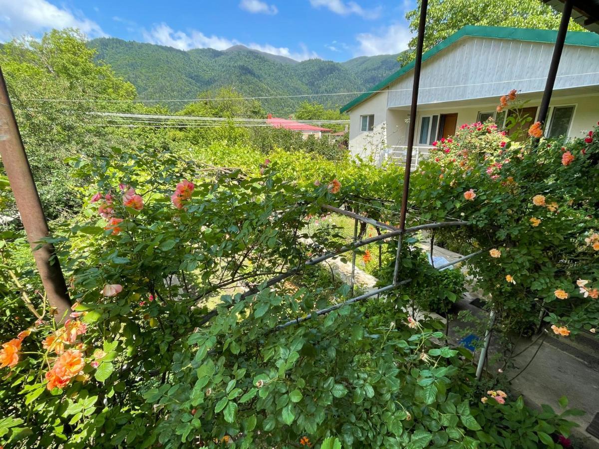 Koticha Villa Borjomi Exterior photo
